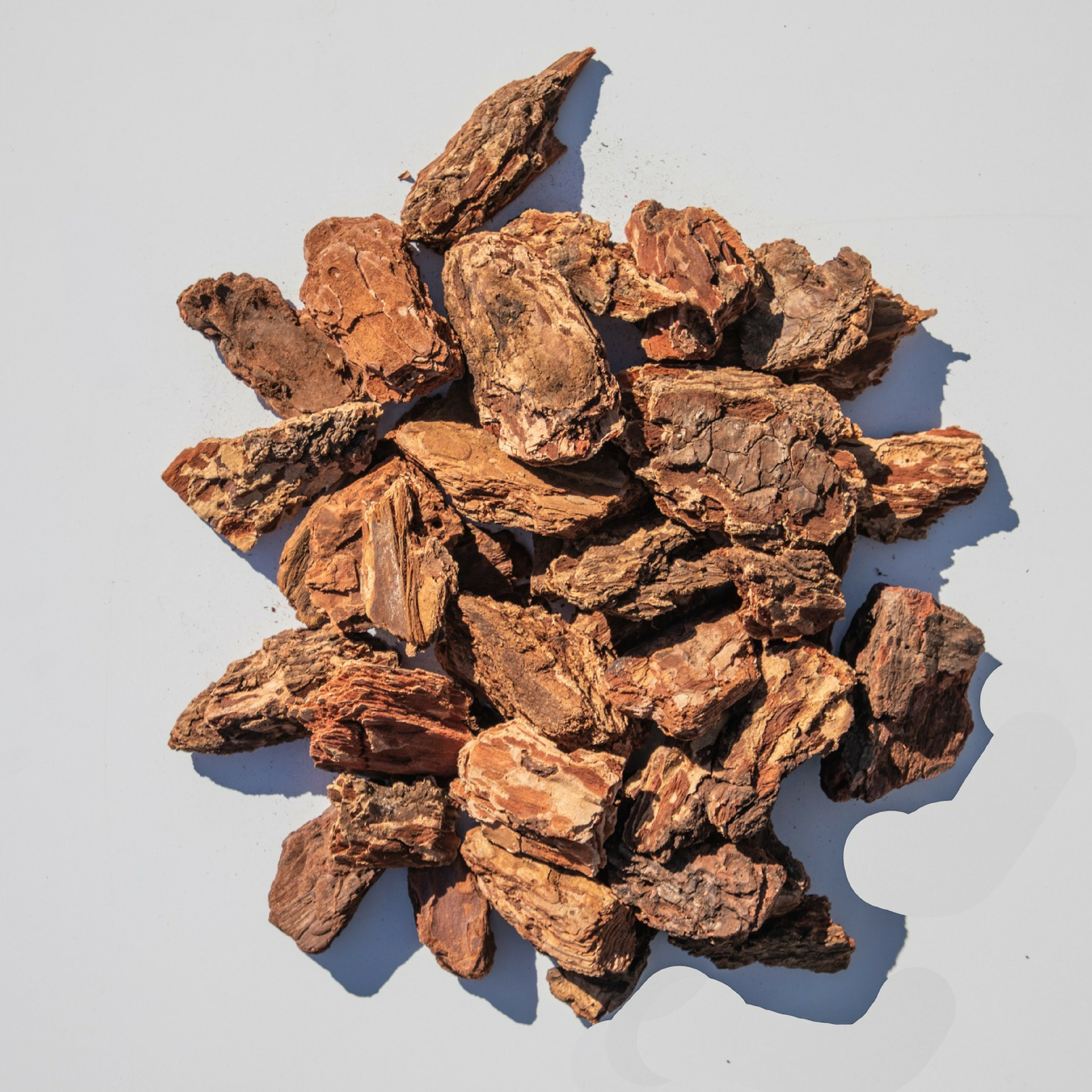 Large Bark (Jumbo, Exotic) - Shasta Forest Products, Inc